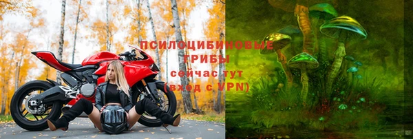 тгк Абдулино