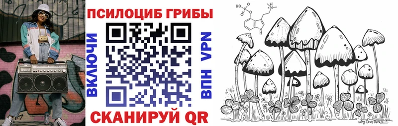 hydra как войти  хочу наркоту  Донской  Галлюциногенные грибы GOLDEN TEACHER 